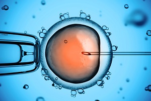 Інтрацитоплазматичне введення сперматозоїда (ICSI), фото