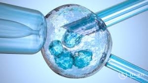 Cryopreservation oocytes : what is it and how does it happen?, фото